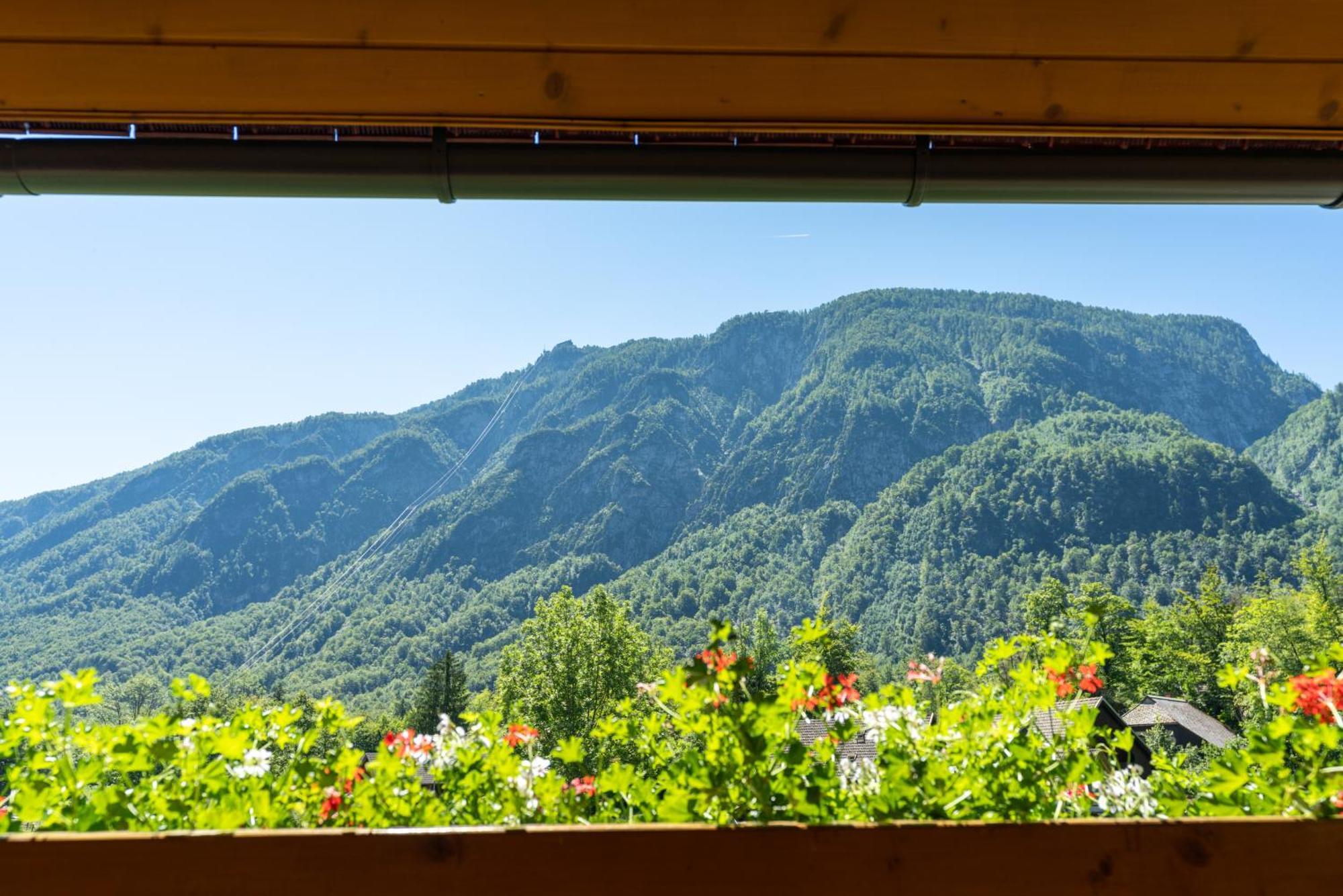 Alpik Chalets - Bohinj Phòng bức ảnh